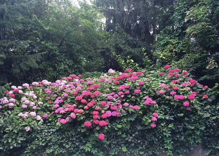 Exquisites Gartenapartment In Eleganter Jugendstilvilla וינה