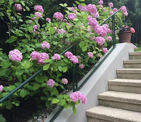 Exquisites Gartenapartment In Eleganter Jugendstilvilla וינה