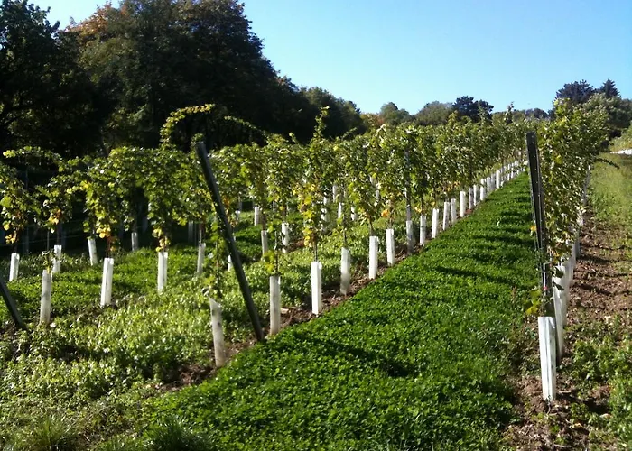 דירה Exquisites Gartenapartment In Eleganter Jugendstilvilla *
