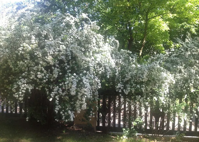 דירה Exquisites Gartenapartment In Eleganter Jugendstilvilla *